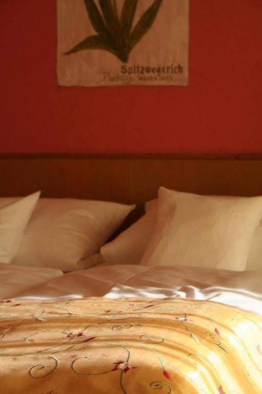 Wagners Hotel Schoenblick, C&C Hotels Und Vertrieb Gmbh Fichtelberg Eksteriør billede